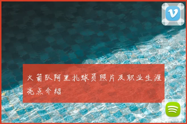 火箭队阿里扎球员照片及职业生涯亮点介绍