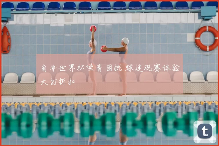 南非世界杯噪音困扰 球迷观赛体验大打折扣