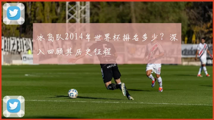 冰岛队2014年世界杯排名多少？深入回顾其历史征程