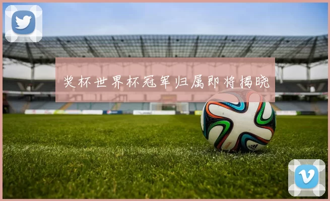 奖杯世界杯冠军归属即将揭晓