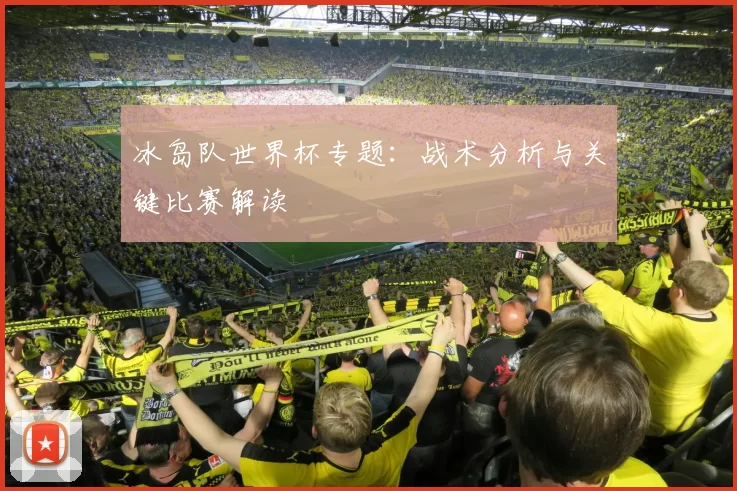 冰岛队世界杯专题：战术分析与关键比赛解读