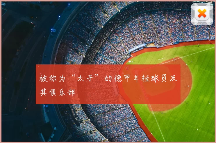 被称为“太子”的德甲年轻球员及其俱乐部