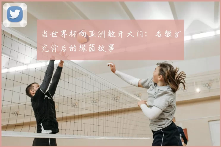 当世界杯向亚洲敞开大门:名额扩充背后的绿茵故事
