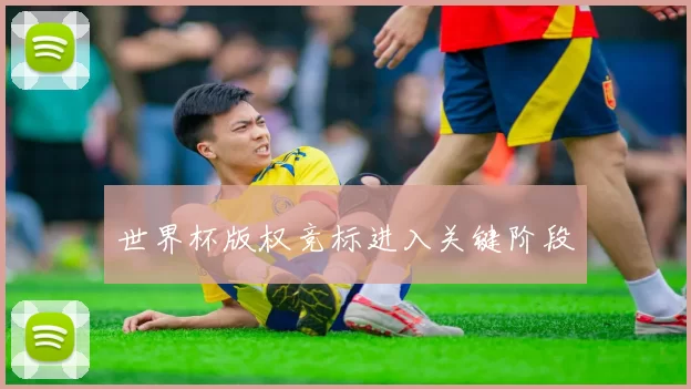 世界杯版权竞标进入关键阶段