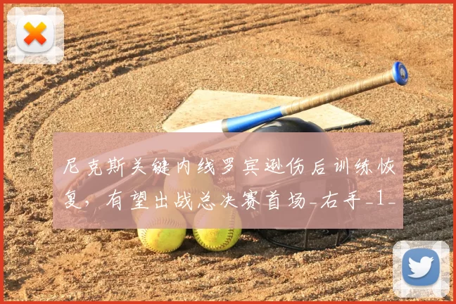 尼克斯关键内线罗宾逊伤后训练恢复，有望出战总决赛首场_右手_1_NBA