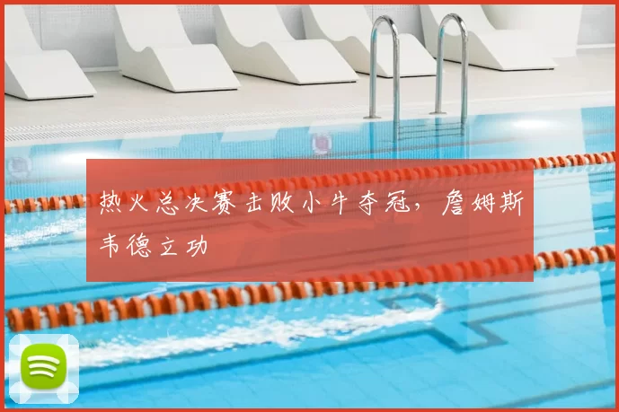 热火总决赛击败小牛夺冠，詹姆斯韦德立功