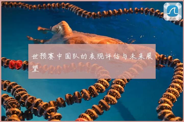 世预赛中国队的表现评估与未来展望