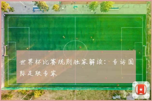 世界杯比赛规则独家解读：专访国际足联专家